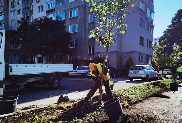 Десислава Билева: Близо 100  са облагородените междублокови пространства в София