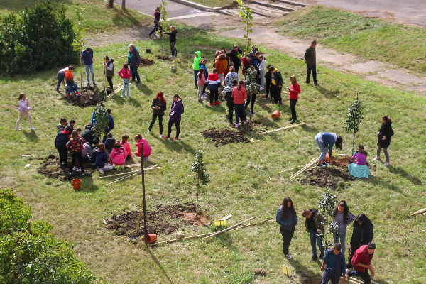 Столична община започва есенното засаждане на 600 дървета с инициативата „Моето зелено училище, моята зелена детска градина“