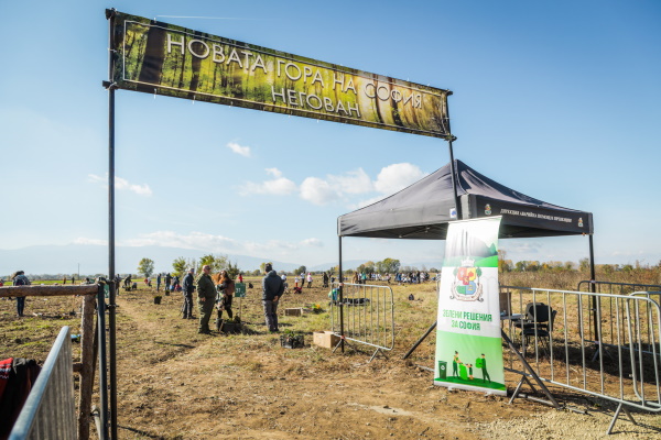 Започна вторият залесителен сезон на 