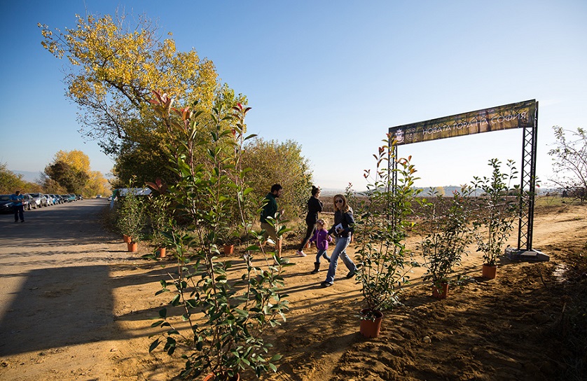 8 500 фиданки са засадени през първите 3 уикенда от инициативата „Новата гора на София“ – 2