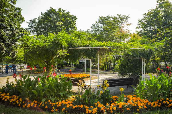 Създаваме нови цветни решения и фигури в зелени пространства на София, каза зам.-кметът Десислава Билева