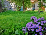 Фандъкова: По програмата на Столична община за домашно компостиране са предоставени над 8 000 компостера