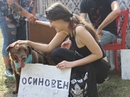 Всички кучета, участници в PARK(ing) DAY, намериха нов дом