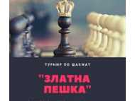 Ученическа инициатива по шахмат 