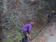 Столичната община ремонтира основни пътища на Витоша преди зимата