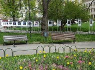 Exhibition: Sofia Five Years Ago and Today