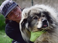 717 dogs from animal shelters have been adopted since the beginning of the year