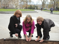 Fandakova: Over 600 000 spring flowers were planted, of which over 300 000 tulips