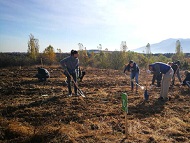 6200 new trees are planted in the New Forest of Sofia