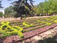 Over 100 000 bulbs in the flower bed figures in Sofia for the Presidency of the Council of the EU