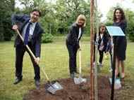 The planting of new trees continues in the parks of Sofia