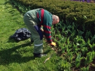 Започна пролетната поддръжка на зелените площи в София