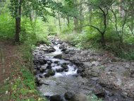 Започна плановото почистване и на река Банишка в „Младост”