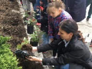 Замeстник-кметът по екология Йоана Христова засади рози в двора на 74-то  училище