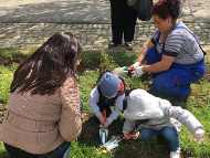 Повече от 100 деца участваха в засаждането на 1000 рози в Розариума на Ботаническата градина