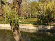 Приключи почистването на голямото езеро в Зоологическата градина