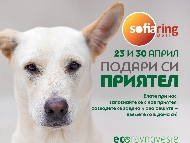 „Екоравновесие“ показва  кучета от общинския приют в столичен мол