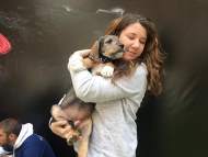 „Подари си приятел“ стартира с две осиновявания на безстопанствени кучета още в първия час