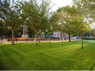 Стартира процедурата за кандидатстване по Програма „Зелена София“ за 2017 г.