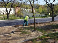 Садим дървета в зоологическата градина на 1 май