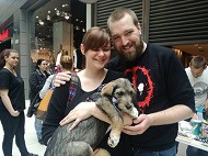 8 нови кучета намериха нов дом през втория ден на кампанията „Подари си приятел”