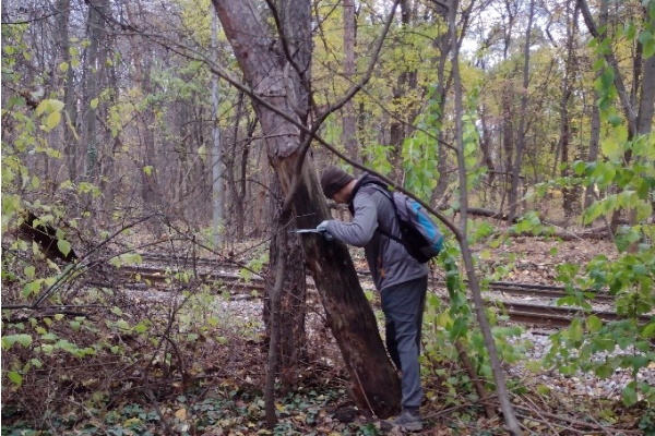 Експерти на Лесотехническия университет ще маркират увредени и опасни дървета в „Княз-Борисовата градина“