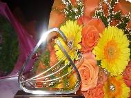 Предстои националния конкурс за поезия „В полите на Витоша“