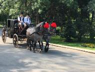 Започнаха честванията на 135 години парк „Княз-Борисова градина“