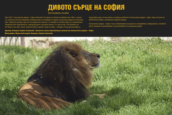 Фотографска изложба за Зоологическата градина на София (26.10.2023 – 07.11.2023, Галерия на открито „Кино Кабана“)