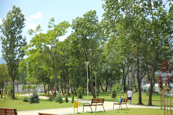 Нови 2 500 дървета ще бъдат засадени тази есен в София