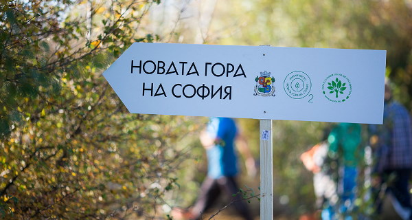 21 500 нови дръвчета ще бъдат посадени в Новата гора на София тази есен