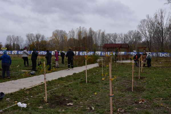 Засадиха 30 фиданки дъб в района на Казичене