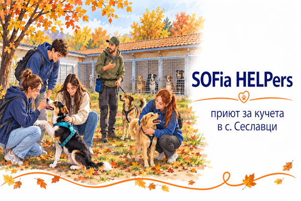Ученици от Немската гимназия и доброволци от SOFia HELPers посетиха приюта за кучета в с. Сеславци