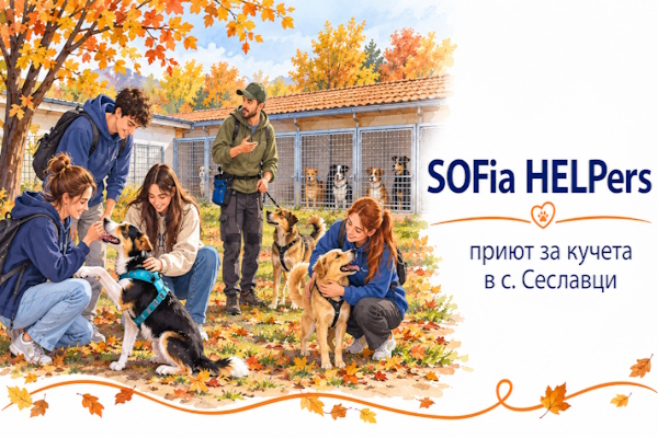 Ученици от Немската гимназия и доброволци от SOFia HELPers посетиха приюта за кучета в с. Сеславци