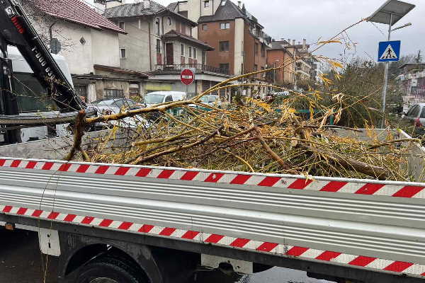 Над 750 тона дървета и клони са почистени и извозени от началото на снеговалежа