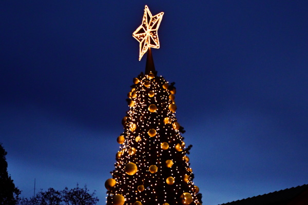 Грейнаха светлините на Коледното дърво на София