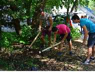 Стартира кампанията на Столична община за затревяване на кални точки