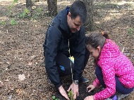 3000 нови дървета бяха посадени в гората на Западен парк с помощта на доброволци