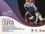 Холандски куклен спектакъл за възрастни гостува на сцената на Столичния куклен театър