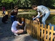 Доброволци садиха дървета и лакираха оградата на Езерото с патетата в 