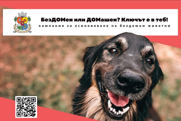 Столична община организира инициатива за осиновяване на бездомни животни „БезДОМен или ДОМашен. Ключът е в теб!“