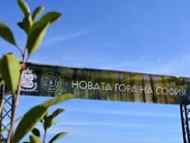 3000 дървета в „Новата гора на София“ след първия уикенд от инициативата