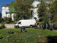 Приблизително 80% повече цветя в София през пролетта на 2018 г.