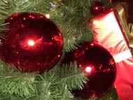 На 5 декември ще бъдат запалени светлините на елхата на София