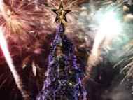 Грейна елхата на София