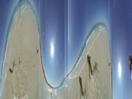 Групова изложба – финален проект на „Близки срещи – визуални диалози/School4artists”