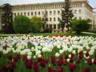 Данъчната кампания в София започна