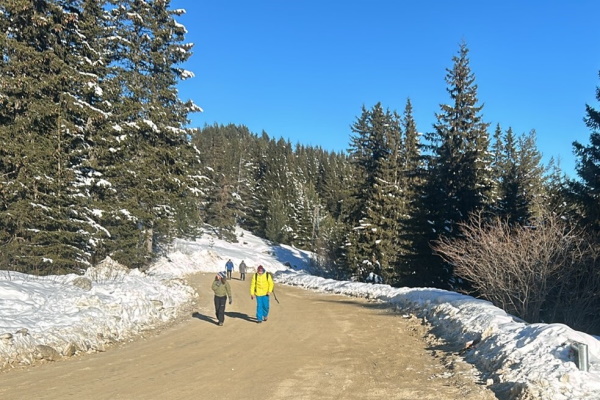 Дирекция „Аварийна помощ и превенция“ на Столичната община създава организация и ще превозва деца и родители, които карат ски в планината Витоша
