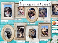 Рестартират осиновителските акции на ОП „Екоравновесие“