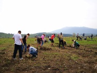 4000 засадени дръвчета в първите 4 дни в Новата гора на София